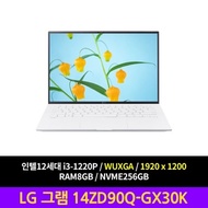 LG Electronics LG Gram 14ZD90Q-GX30K Laptop