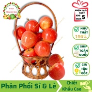 Combo of 5 Fake Round Apples (8x8 cm) model 99% AUTHENTIC - Used to decorate homes and shops