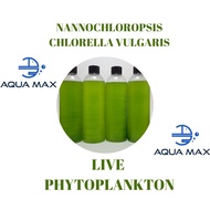 LIVE PHYTOPLANKTON NANNOCHLOPSIS , CHLORELLA VULGARIS SALTWATER CORAL ROTIFER COPEPOD FOOD AND FRESH