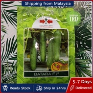 HotPaket 800 Seeds BATARA F1 East West Seed Biji Benih Timun Batang F1 Hybrid Cucumber Seeds Cap Pan