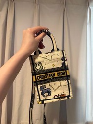 Dior Mini Book Tote Bag Zodiac Pixel Print