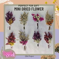 Mini Dried Flower Bouquet Lover Grass Crystal Grass Caspia Preserved Flower Bouquet for Gift Box