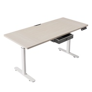 BilBil  55-71 inches  140cm 160 cm 180 cm  Electric Standing Desk Dual Motors Desk  with  typ-C quic