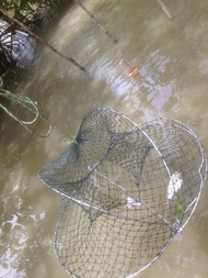 (Ready stock ) 10PCS bubu ketam  RAYA OFFER Crab Trap Net Bubu ketam / bento ketam (berkualiti)
