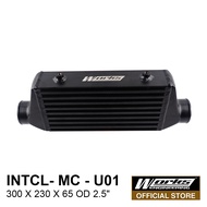 Intercooler Universal - Works Engineering