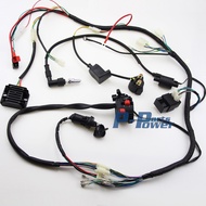 COMPLETE ELECTRICS ATV QUAD 200cc 250CC COIL CDI HARNESS WIRING ATV QUAD BIKE GoKart