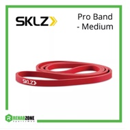 SKLZ Pro Band Resistance Loop Band