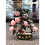 9-fruit fortune peach tree