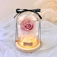 永生花玻璃盅-莫蘭迪霧粉 l 日本玫瑰 永生花玻璃罩 乾燥花