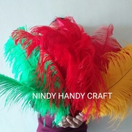 Jumbo Cassowary Feather 60cm - ostrich Feather