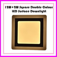 LED SURFACE DOWNLIGHT (12W+2W) SQUARE