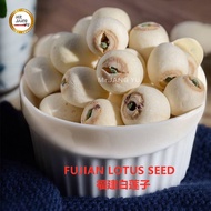 Mr.JANG YU Fujian Lotus Seed 福建白莲子 Kacang Teratai 300g-Mr.JANG YU