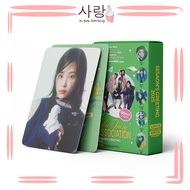 95pcs NewJeans《2025 SEASONS GREETINGS - THE FAIRY ASSOCIATION》Green Group LOMO Cards Set Collection
