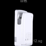 Double-Sided Hair Dryer Spray Gun G7BH