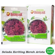 Benih-Bibit Selada Keriting Merah Arista (Bintang Asia)