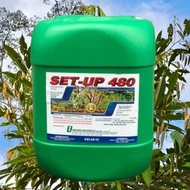 [ORIGINAL] 20L SET-UP 480 GLYPHOSATE 41% RACUN RUMPAI/RACUN RUMPUT LALANG/TOUCH UP / ROUNDUP/HERBICI