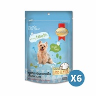 【SmartHeart 慧心】 愛犬餅乾-潔牙保健配方100gX6包 -狗零食 點心