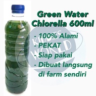 HIJAU Green Water / Chlorella / Green Water, Water Flea, Daphnia, Artemia