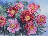 粉紅牡丹牆藝術原創水彩畫由藝術家 Irina Zhunaeva 創作