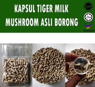 Tiger milk mushroom/cendawan susu harimau Kapsul Halal 100% Herba natural Rawat Asma