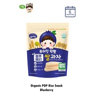 Pure Eat Organic Baby Snack Pop Rice Cracker Snack For 6 Months Old - Blueberry (30g)