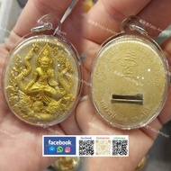 2555龍婆朗 水龍魯士