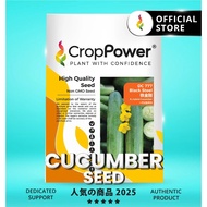 (10 GRAM) Biji Benih Timun Black Steel 铁金刚 DC777 CROP POWER F1 Hybrid Cucumber Seeds 黄瓜种子 DC 777