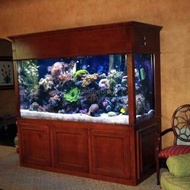 kabinet bufet aquarium jumbo kayu jati model minimalis