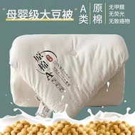 Quilt Soy Fiber Quilt Thickened Winter Quilt Spring Autumn Quilt Air Conditioning Quilt Soy Quilt Qu