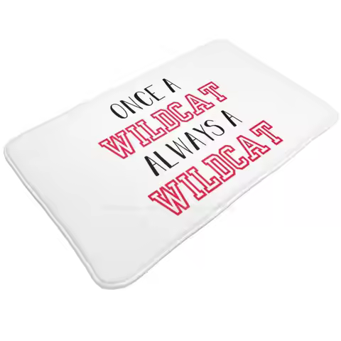 Once A Wildcat 3 Sizes Home Cushion Room Carpet Tumblr Hsm 3 Troy Bolton Gabriella Montez Romance Lo