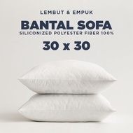 Dk - Sofa Cushion Silicone Chair Cushion/ Size 30x30