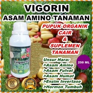 Vigorin 250 ML Pupuk Asam Amino Fulvat Humat Tanaman Aminosan Organik Cair Nutrisi Anggur Buah Sayur