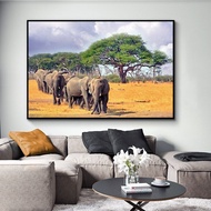สัตว์ป่าช้างแอฟริกาภาพโปสเตอร์ภูมิทัศน์ต้นไม้ภาพวาดสีน้ำมันรูปนกยูงและพิมพ์ภาพสัตว์0717ติดผนัง