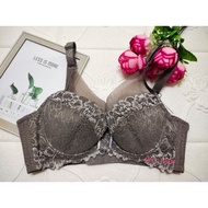 36C/80C XZYD LACE - GREY BRA