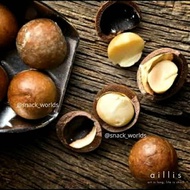 Macadamia Nuts in shell (toe macadamia Nuts) ripe