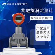 【好康】德國進口旋進漩渦旋渦流量計氣體流量計瓦斯氮氣燃氣煤