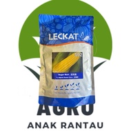 BENIH JAGUNG SUGAR RICH 592/JAGUNG MADU / JAGUNG MANIS /BENIH JAGUNG