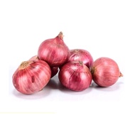 BAWANG MERAH BESAR 1 KG +/-