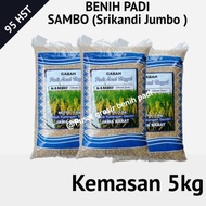 Termurah Benih bibit padi SAMBO ( Srikandi Jumbo ) kemasan 5kg