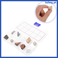 Geology Classroom Mineral Rock Specimen for Display Large Crystals Specimens  bofeng
