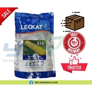 LECKAT 516 SUGAR KING F1 HYBRID SWEET CORN 500GRAM BENIH JAGUNG