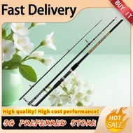 3.3m/3.6m/3.9m (11ft/12ft/13ft) Surf Iron Plate Rod High Carbon Fiber Rod  Shore Rod Surf Rod C.W 10