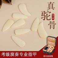 Guzheng Nails Natural Camel Bone Handmade Guzheng Nails Children Adult Universal Professional Perfor