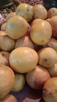 JERUK LEMON 1kg