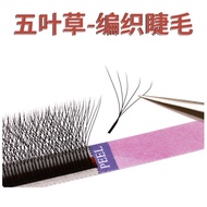 [Praise] 0.05 Five-leaf Clover Grafted Eyelashes yy Type Upgrade Soft Beauty Eyelash Shop Clover Fou