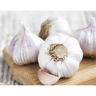 Bawang putih timbang 100gram
