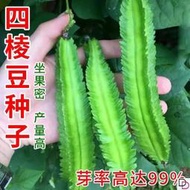現貨  特價 小欣種業高產四棱豆種子四季播種菜地庭院蔬菜四角豆皇帝豆種籽陽臺蔬菜種