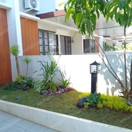 TANAMAN HIAS RUMAH / PEMBUATAN TAMAN RUMAH / TAMAN INDOOR &amp; OUTDOOR 