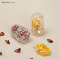 [T&B Oct] 1/ 3Pcs Tea Strainer Plastic Tea Infuser Tea Leaves Spice Seasoning Ball Strainer Teapot F