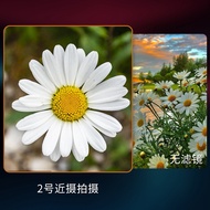 2x 4x 10x Macro Lens Filter for DSLR Cameras